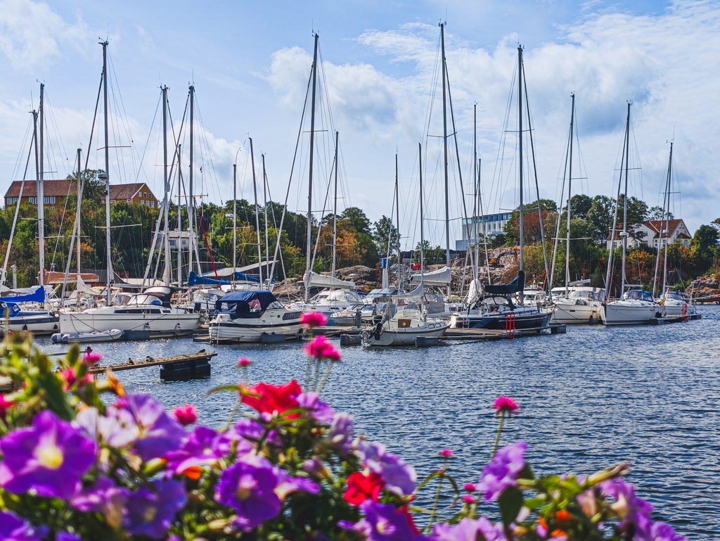 Port jachtowy w Kristiansand w Norwegii, żaglówki zacumowane przy nabrzeżu i kolorowe kwiaty na pierwszym planie.